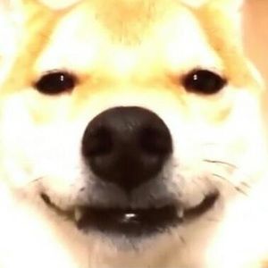 Meet your Posher, Mabel